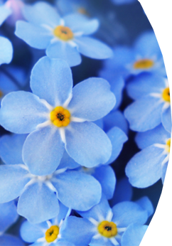 <h3><span class="font-alternate">Funeral donations</span></h3>