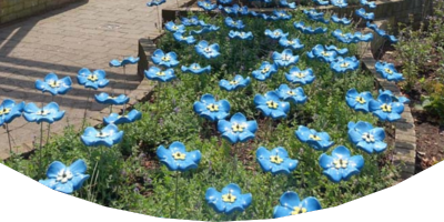 <h4><strong>Donate in memory</strong></h4>
<p>Making a donation in memory of your loved one is a wonderful way to honour their memory.</p>