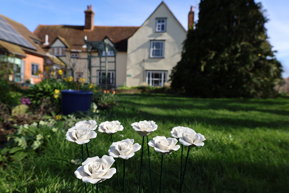 Remembrance Roses In Front Of Hospice 1200X800