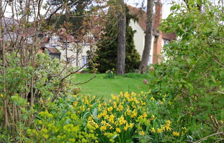 Visiting the hospice