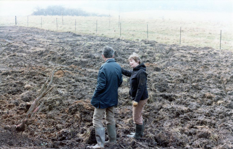 The garden gallery 5