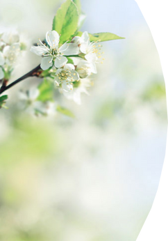 <h3><span class="font-alternate">Memory pages</span></h3>